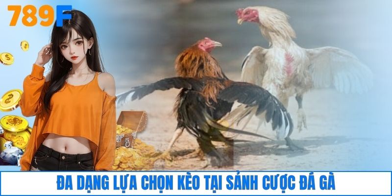 Đa dạng lựa chọn kèo tại sảnh cược đá gà