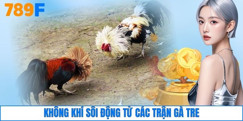 Không khí sôi động từ các trận gà tre