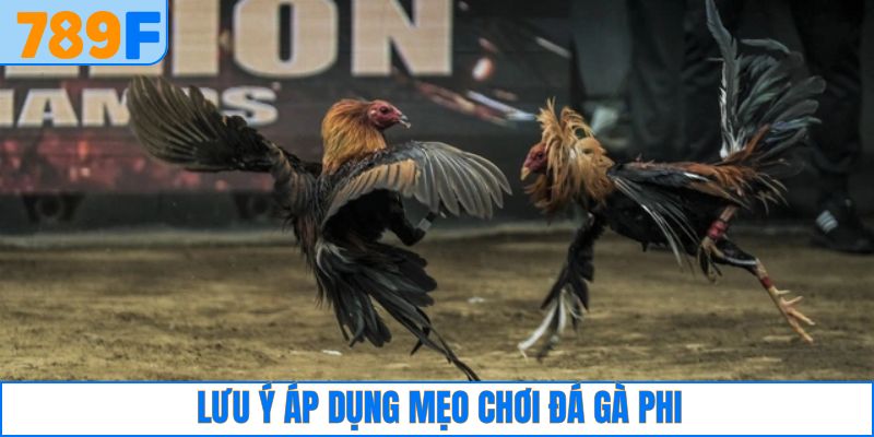 Tập trung đến phần chân, cựa của các chiến binh