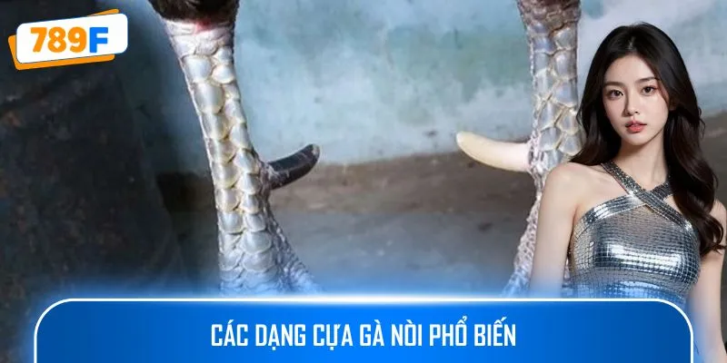 Các dạng cựa gà nòi phổ biến