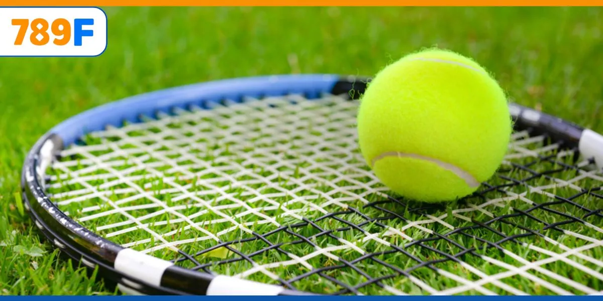 Chi tiết các điều lệ giải quần vợt cho newbie nắm vững