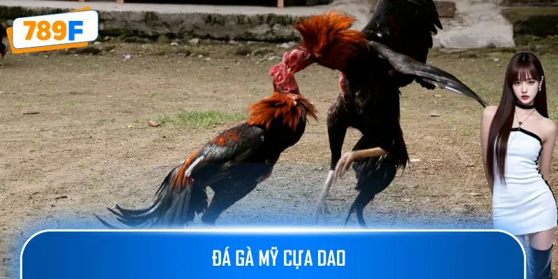Đá Gà Mỹ Cựa Dao Chinh Phục Mọi Cược Thủ Chuyên Nghiệp 2025