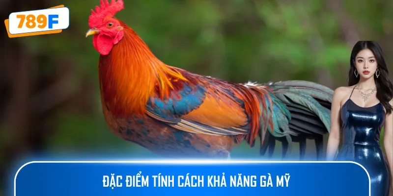 Đặc điểm tính cách khả năng gà Mỹ