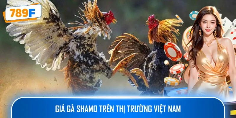 Giá gà Shamo trên thị trường Việt Nam