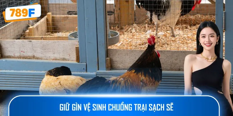 Giữ gìn vệ sinh chuồng trại sạch sẽ