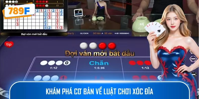 Khám phá cơ bản về luật chơi xóc đĩa 