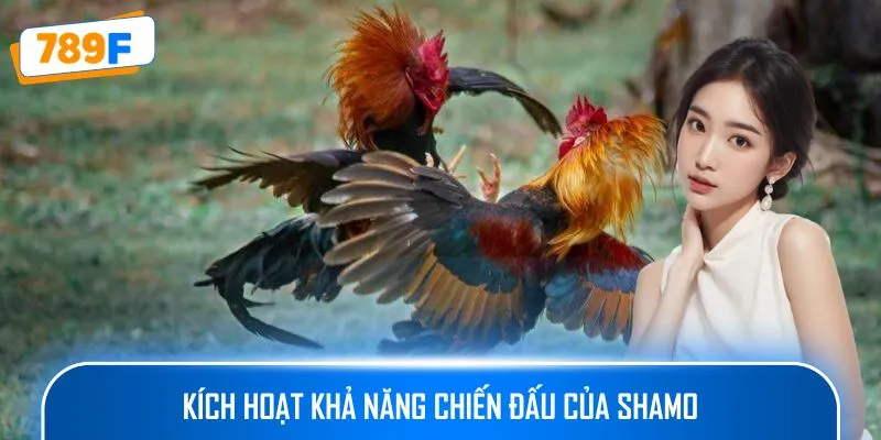 Kích hoạt khả năng chiến đấu của Shamo