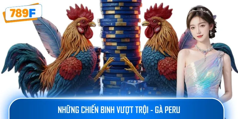 Những chiến binh vượt trội - Gà Peru