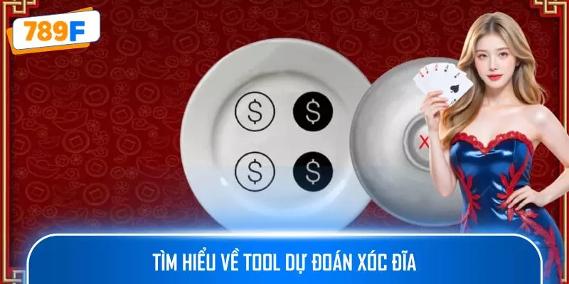 Tìm hiểu về tool dự đoán xóc đĩa 