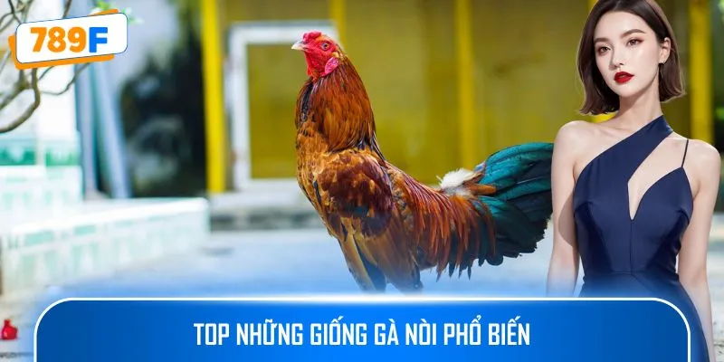 Top những giống gà nòi phổ biến