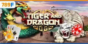 Những Kinh Nghiệm Chơi Rồng Hổ Không Thể Không Biết