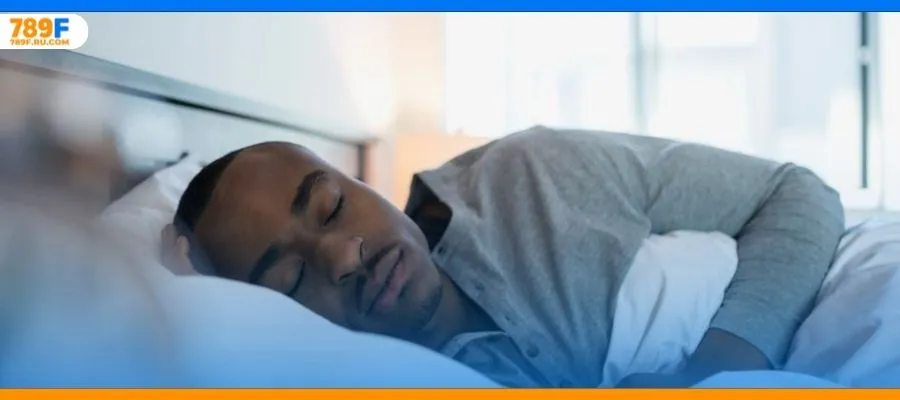 Lời nhắc nhở nên chú ý khi mơ thấy 2 con mèo