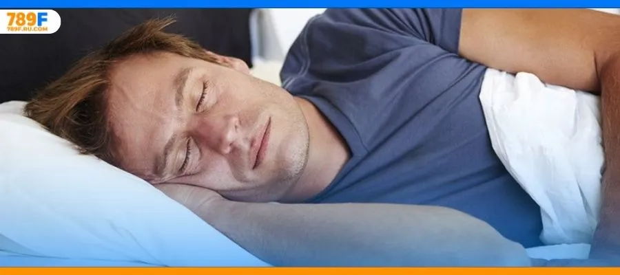 Ý nghĩa ẩn sau giấc mơ thấy 2 con mèo