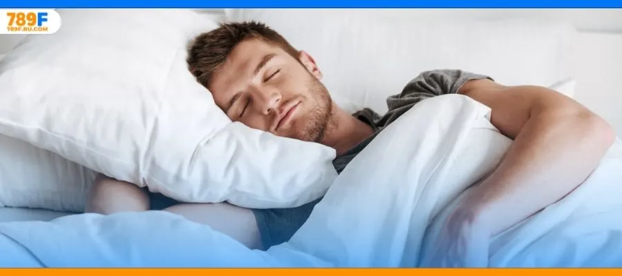 Khám phá giấc mơ thấy ba con chó: Hên hay xui đánh con gì?