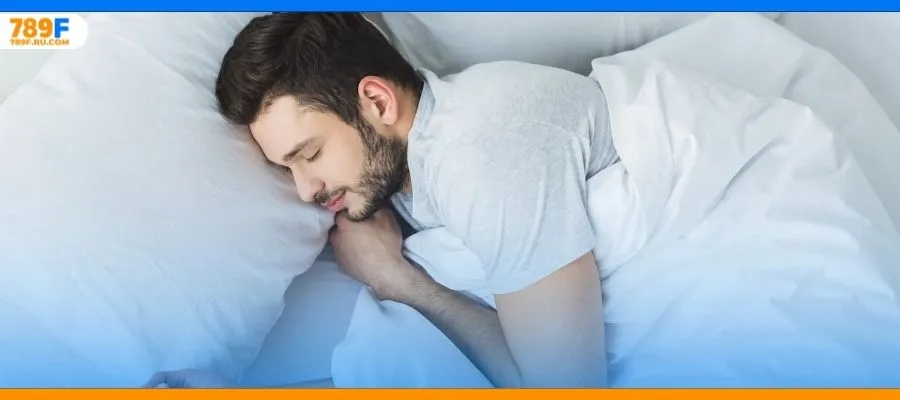 Mơ Thấy 2 Ngôi Mộ Và Thông Điệp Ẩn Sau Giấc Mơ Kỳ Bí 3 Điềm báo cần lưu ý khi mơ thấy 3 con chó